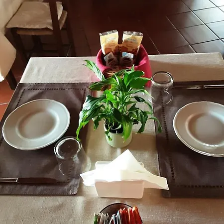Bar Ristorante Pinocchio Arzachena