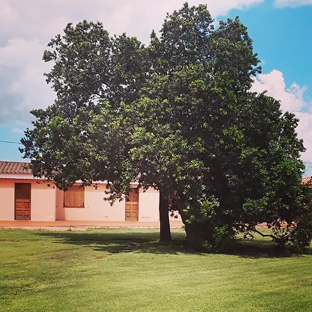 Pinocchio Arzachena