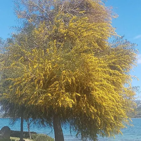 Hotell Pinocchio Arzachena