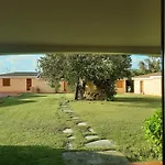 Pinocchio Hotel