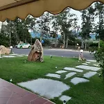 Pinocchio 2*