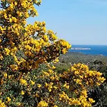 Pinocchio Arzachena