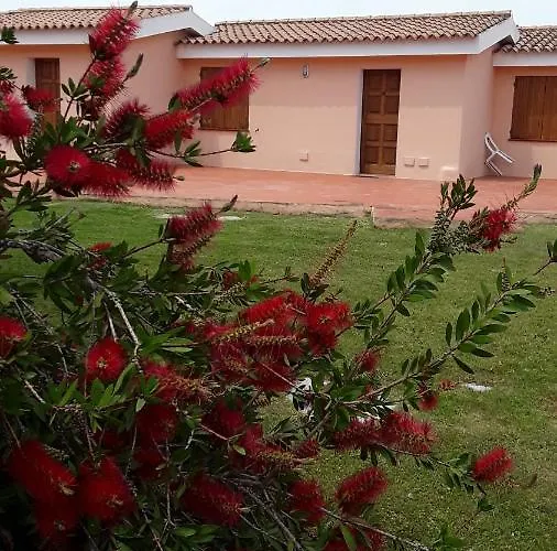 Pinocchio 2* Arzachena